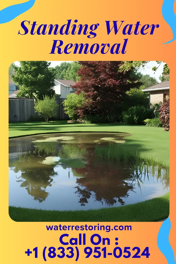 Standing Water Removal in Durham, KS